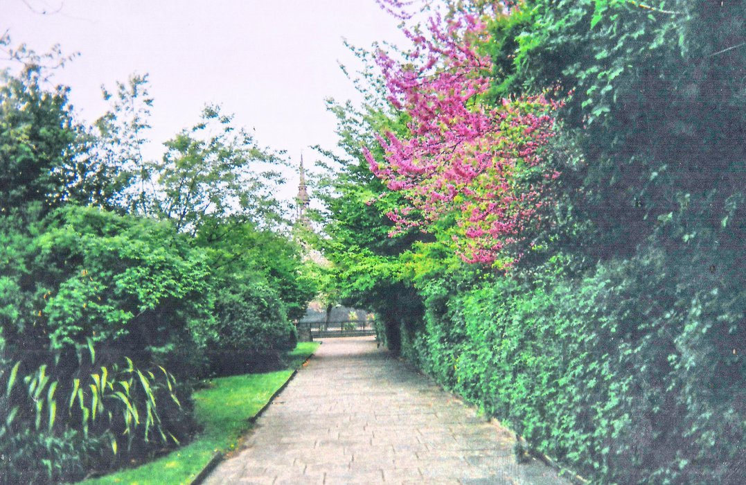 lanes-14.jpeg